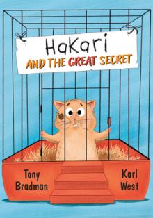 Big Cat for Little Wandle Fluency -- Hakari and the Great Secret