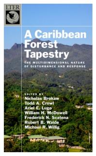 Caribbean Forest Tapestry: The Multidimensional Nature of Disturbance and Response