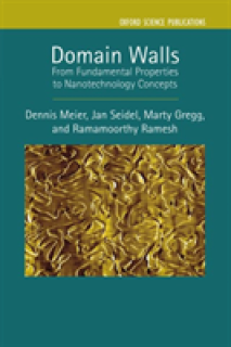 Domain Walls: From Fundamental Properties to Nanotechnology Concepts
