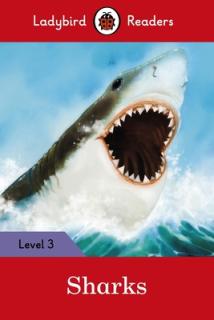 Sharks - Ladybird Readers Level 3