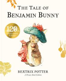 Tale of Benjamin Bunny Picture Book