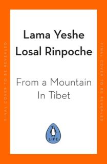 From a Mountain in Tibet: A Monk's Journey