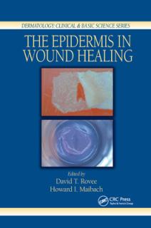 The Epidermis in Wound Healing