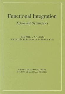 Functional Integration: Action and Symmetries