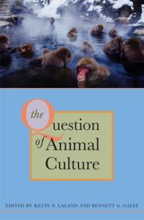 Question of Animal Culture