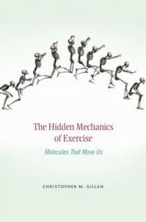 Hidden Mechanics of Exercise: Molecules That Move Us