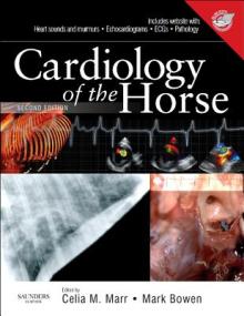 Cardiology of the Horse [With DVD ROM]