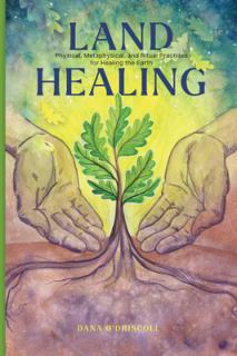 Land Healing: Physical, Metaphysical, and Ritual Practices for Healing the Earth