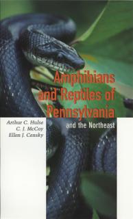 Amphibians and Reptiles of Pennsylvania and the Northeast: Fragrance, Aromatherapy, and Cosmetics in Ancient Egypt