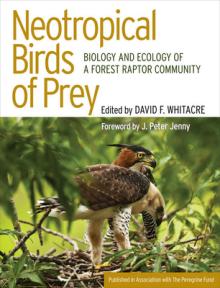 Neotropical Birds of Prey: The Origins and Evolution of No Child Left Behind