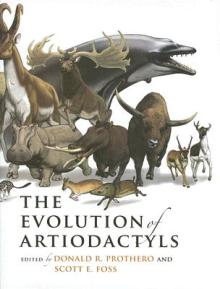 The Evolution of Artiodactyls