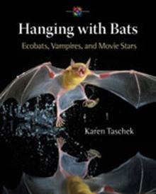 Hanging with Bats: Ecobats, Vampires, and Movie Stars
