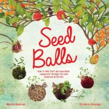 Seed Balls: How to help fruit and vegetables regenerate through fun seed dispersal activities