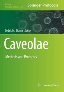 Caveolae: Methods and Protocols