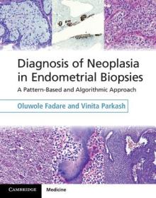 Diagnosis of Neoplasia in Endometrial Biopsies Book and Online Bundle: A Pattern-Based and Algorithmic Approach [With eBook]