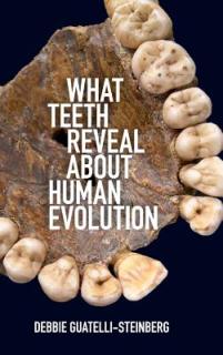 What Teeth Reveal about Human Evolution