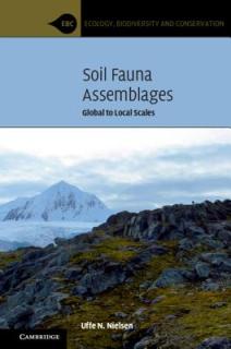 Soil Fauna Assemblages: Global to Local Scales
