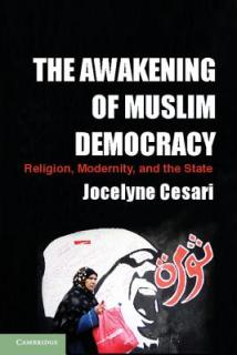 The Awakening of Muslim Democracy: Religion, Modernity, and the State