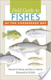 Field Guide to Fishes of the Chesapeake Bay