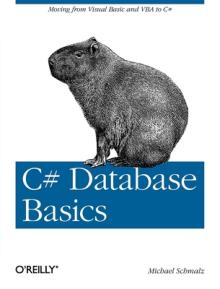 C# Database Basics: Moving from Visual Basic and VBA to C#