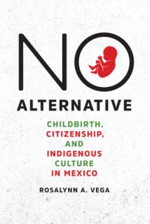 No Alternative: Childbirth, Citizenship, and Indigenous Culture in Mexico