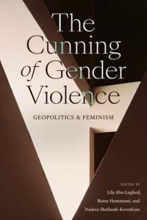 The Cunning of Gender Violence: Geopolitics and Feminism