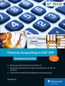 Financial Accounting in SAP Erp: Business User Guide