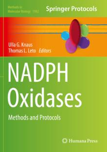 Nadph Oxidases: Methods and Protocols