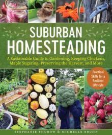 Small-Scale Homesteading: A Sustainable Guide to Gardening, Keeping Chickens, Maple Sugaring, Preserving the Harvest, and More