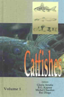 Catfishes
