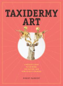 Taxidermy Art: A Rogue's Guide to the Work, the Culture, and How to Do It Yourself