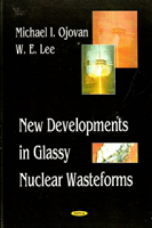 New Developments in Glassy Nuclear Wasteforms
