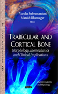 Trabecular & Cortical Bone