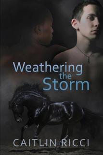 Weathering the Storm: Volume 1