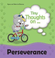 Tiny Thoughts on Perseverance: Don't give up!