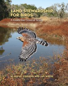 Land Stewardship for Birds: A Guide for Central Texas