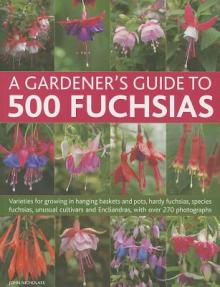 A Gardener's Guide to 500 Fuchsias: Varieties for Growing in Hanging Baskets and Pots, Hardy Fuchsias, Unusual Cultivars and Encliandras, with Over 27
