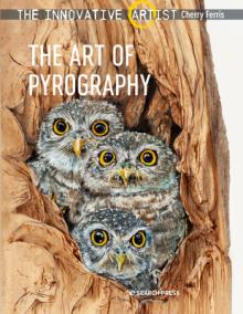 The Innovative Artist: Art of Pyrography: Drawing with Fire