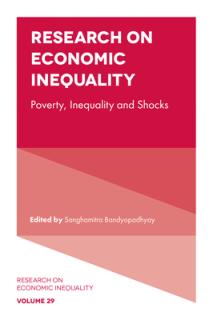 Research on Economic Inequality: Poverty, Inequality and Shocks