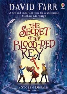 Secret of the Blood-Red Key
