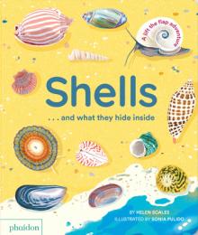 Shells... and What They Hide Inside: A Lift-The-Flap Adventure