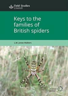 Keys to the Families of British Spiders
