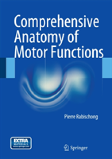 Comprehensive Anatomy of Motor Functions