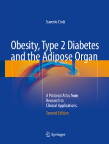 Obesity, Type 2 Diabetes and the Adipose Organ: A Pictorial Atlas from Research to Clinical Applications