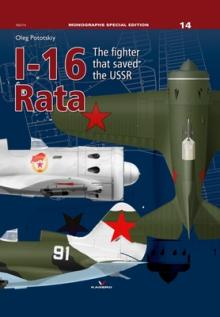 I-16 Rata: The Fighter That Saved the USSR