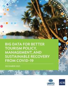 Big Data for Better Tourism Policy, Management, and Sustainable Recovery from Covid-19